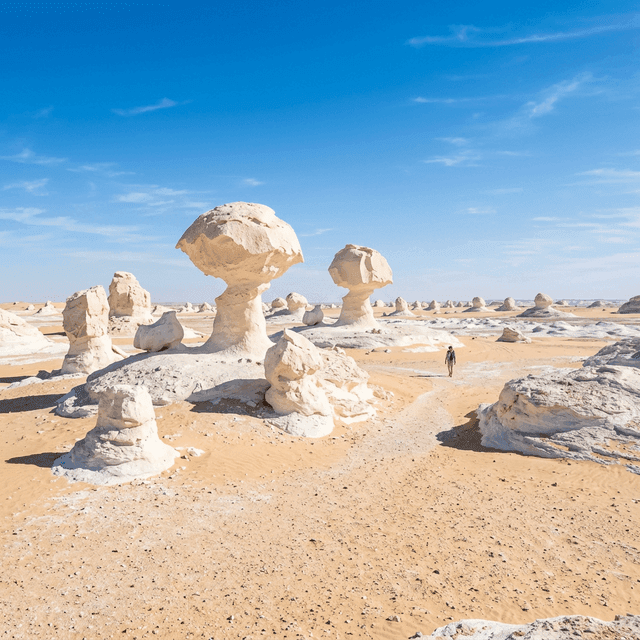 White Desert Temple Run