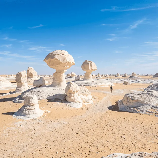 White Desert Temple Run โ 8 Days / 7 Nights tour package from India